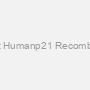 Recombinant Humanp21 Recombinant Protein